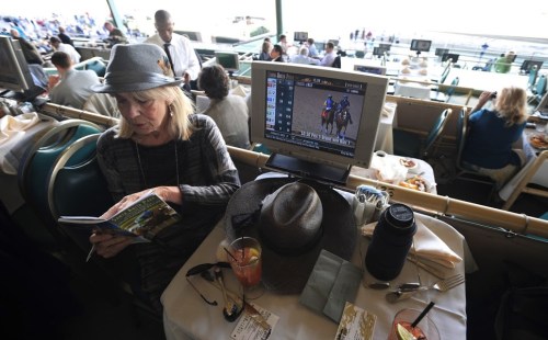 Carol "Lucky Lady" Stogsdil peruses the racing form in search of a winner.