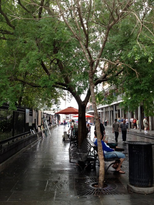 The street scene on the east side of Jackson Square.