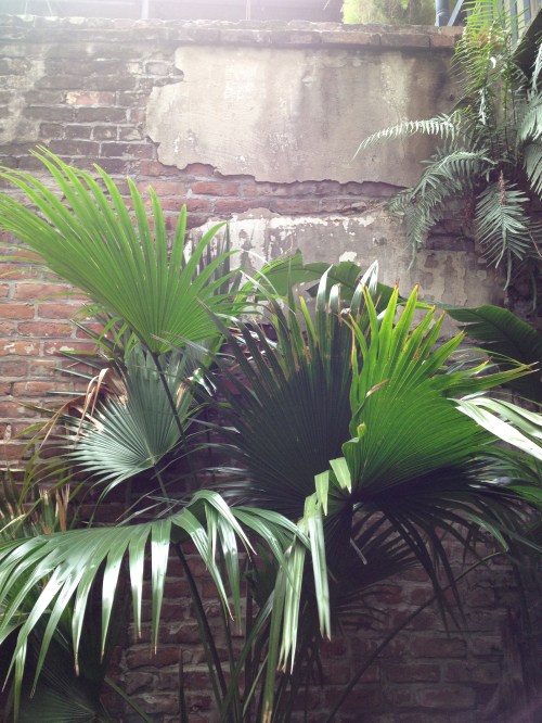 Classic, lovely New Orleans decay in the Napoleon House  courtyard.