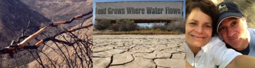 droughtbanner 1