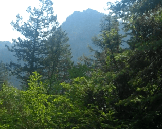 Screen Shot 2016-08-08 at 1.28.04 PM